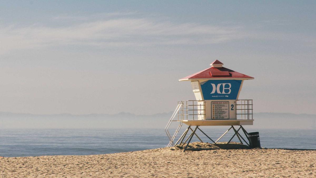 Detailansicht: Wal Timmendorfer Strand