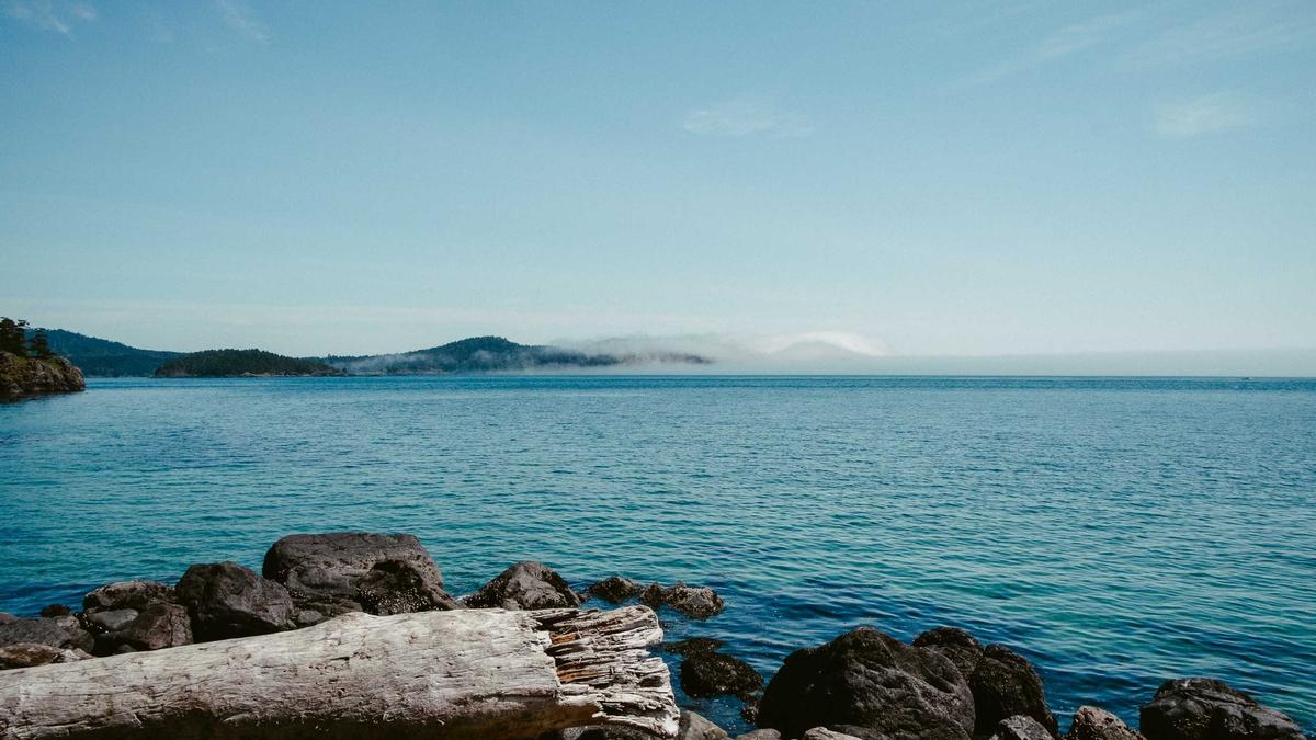 Symbolbild zum Thema Wandernde Tierarten Schutz