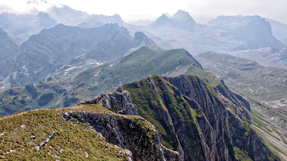 Detailansicht: Wandernde Tierarten Schutz