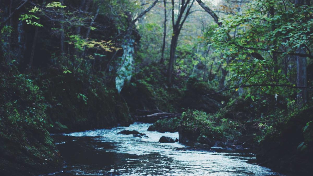 Detailansicht: Wasserknappheit Deutschland