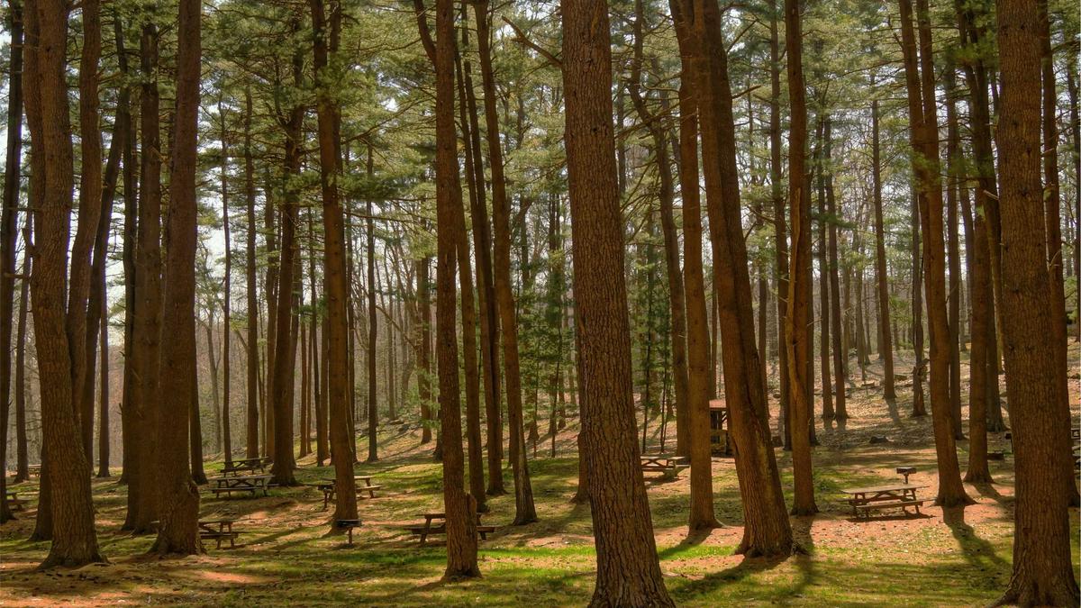 Detailansicht: Wehrpflicht Verlängerung