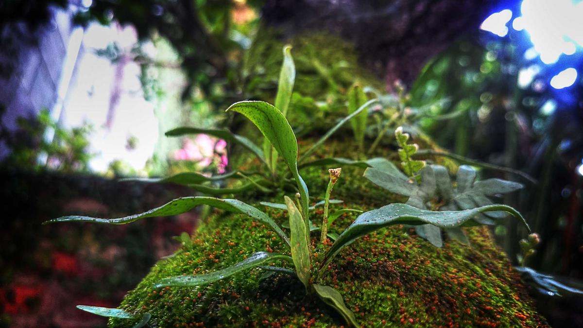 Weiterbildung Finanzierung Symbolbild zum Thema Weiterbildung Finanzierung