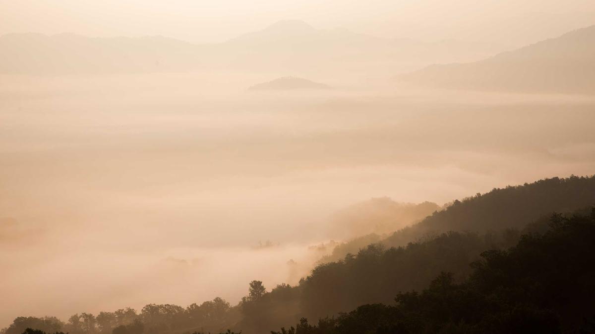 Werder Abstiegskampf Illustration zu Werder Abstiegskampf