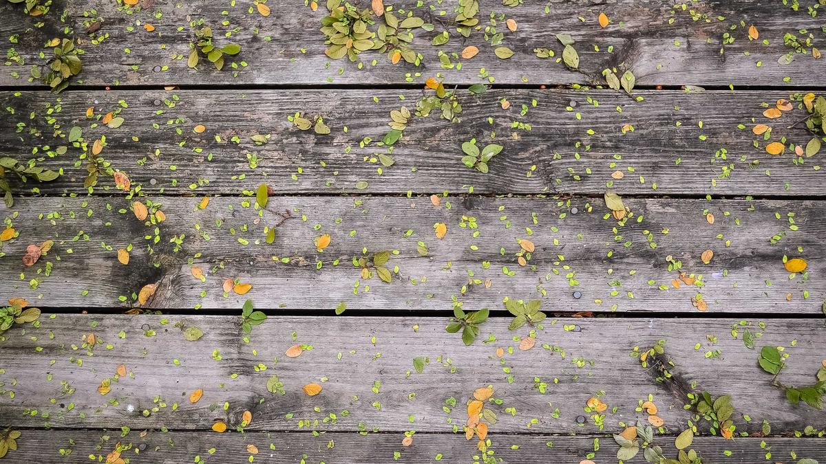 Wetter Glatteis Symbolbild zum Thema Wetter Glatteis