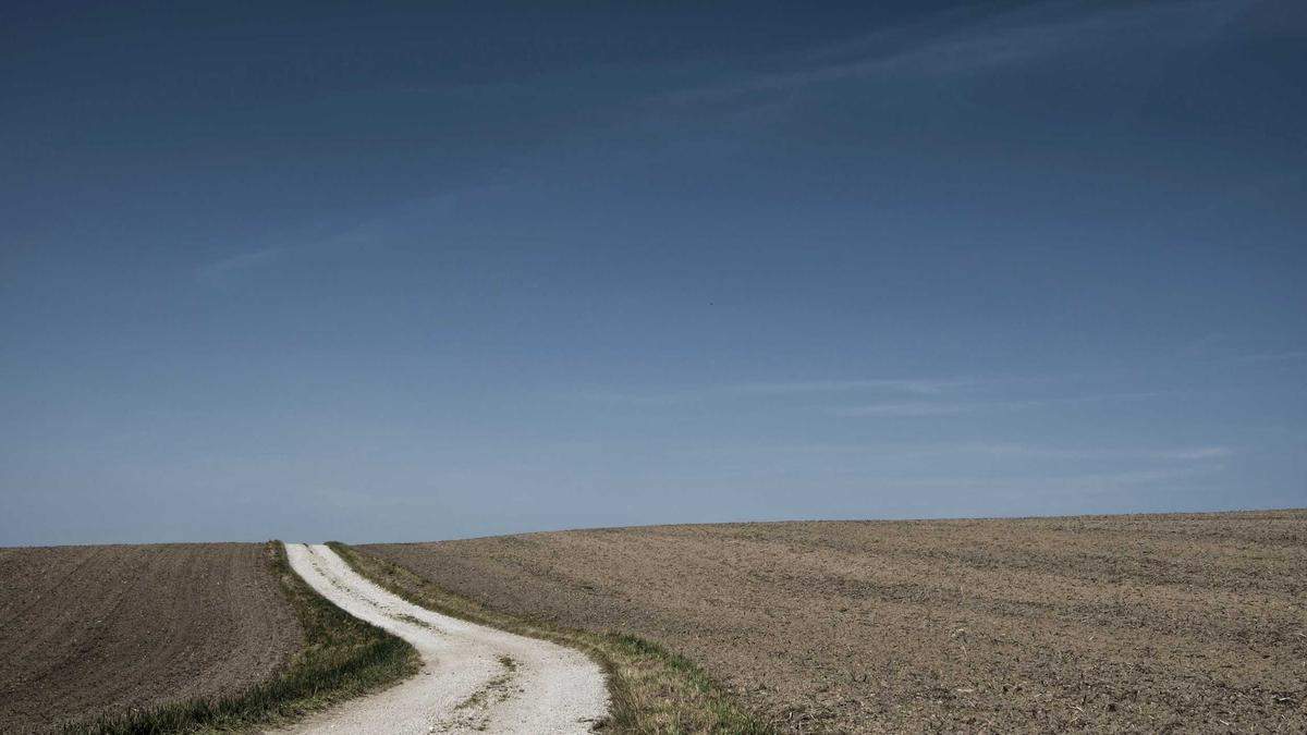 Symbolbild zum Thema Wildunfall Wyhlen