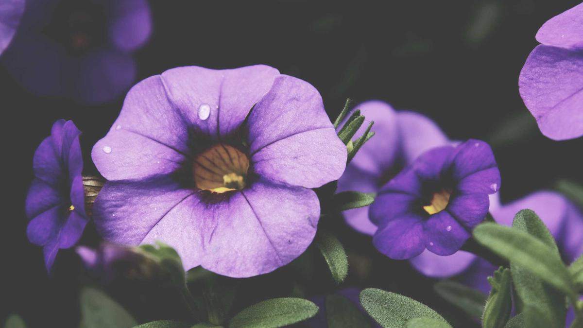 Detailansicht: Wildunfall Wyhlen