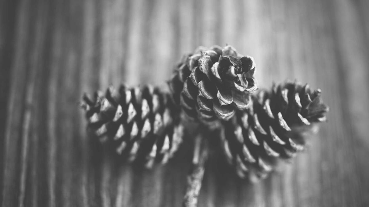 Symbolbild zum Thema Wohnungsbrand Friesenheim