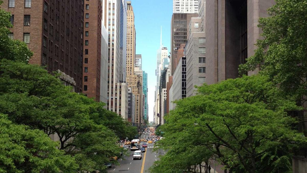 Symbolbild zum Thema Zeugenaufruf Unfall Heidelberg