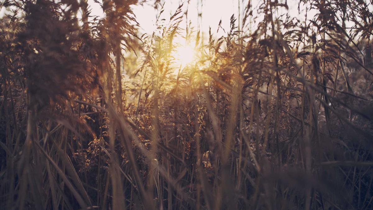 Zyklusorientierte Ernährung Detailansicht: Zyklusorientierte Ernährung