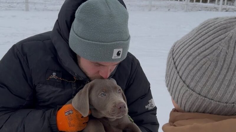 Philipp Stehler: TV-Polizist wird wieder Papa