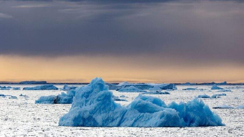 Social Media: "Aber warum": Einsamer Pinguin wird zum Social-Media-Hit