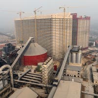 PODCAST «NZZ AKZENT» – 600 000 Schweine in einem Hochhaus – das ist Chinas neue Fleischindustrie