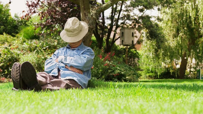 Fehlende Altersvorsorge: Wie viel Rente bekommt man, wenn man nie gearbeitet hat?