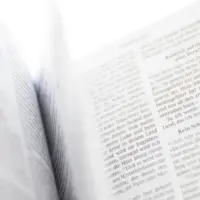 Renteninformation verstehen: Ihr Wegweiser für die Altersvorsorge 2026